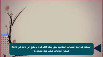 أسعار فائدة حساب التوفير لدى بنك القاهرة ترتفع إلى 225 في 2025 ضمن خدمات مصرفية متجددة